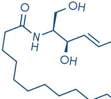 Product-Ingredents