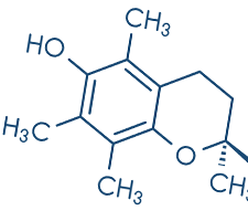 Product-Ingredents