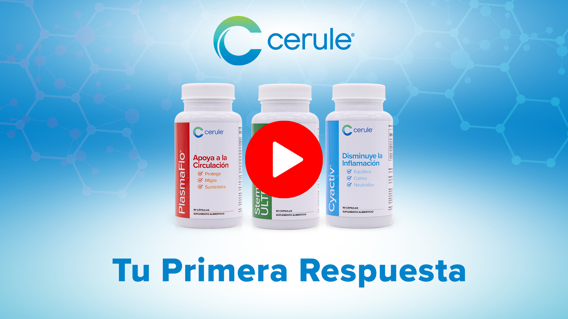 Nuestros Productos - Cerule International
